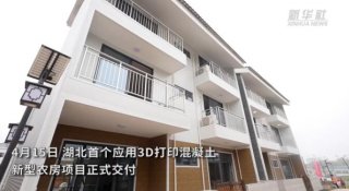 湖北首個應用3D打印混凝土新型農房項目正式交付